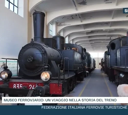 Guarda la trasmissione di Spazio Libero della RAI su FIFTM e AISAF a Lecce