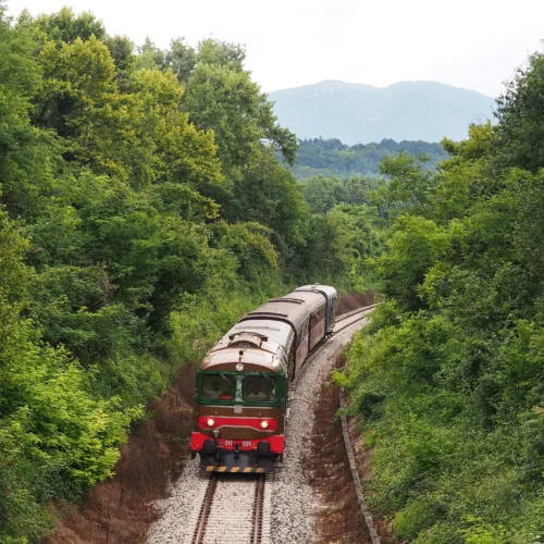 I treni storici di Fondazione FS Italiane nella Giornata Ferrovie delle Meraviglie 2026