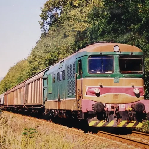 Ferrovia Santhià-Arona, l’Associazione Torino-Svizzera chiama il territorio alla mobilitazione