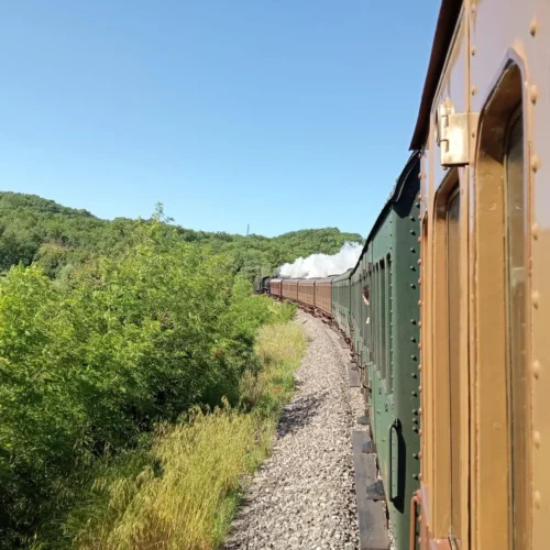 Trent’anni di Treno Natura con il CETFER di Università di Siena – 17 maggio, Torrenieri