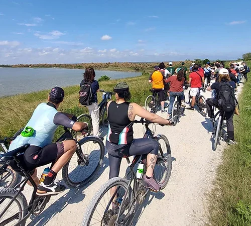 IT.A.CA. Ravenna, 11 ottobre, Pedalata. Dall’antico porto di Classe alla foce del Bevano
